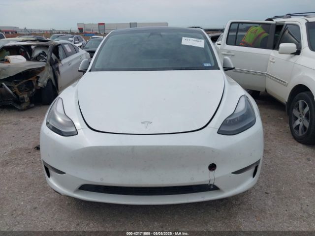 5YJYGDEF4MF250206 Tesla Model Y