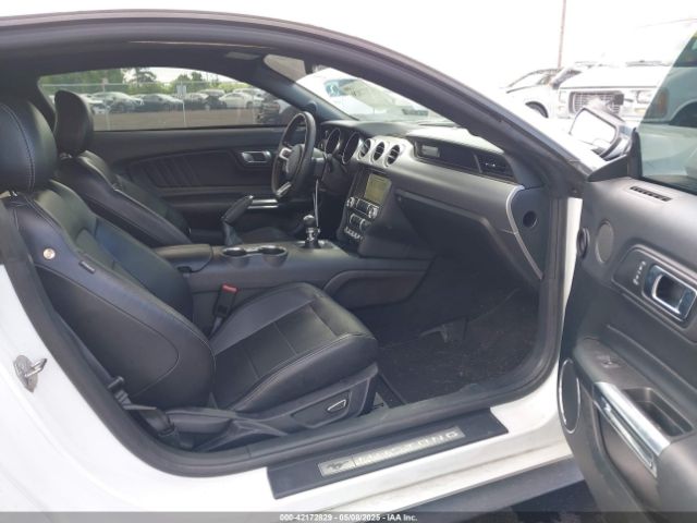 1FA6P8CF6K5173649 Ford Mustang Gt Premium