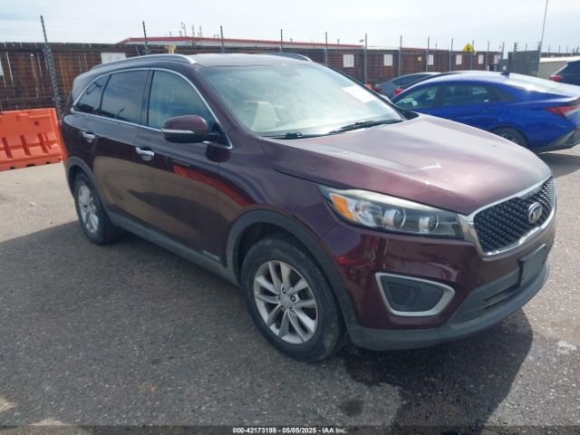 2017 KIA SORENTO 5XYPGDA57HG227896