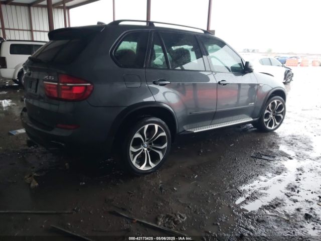2011 BMW X5 5UXZV8C59BL419527 Photo 3