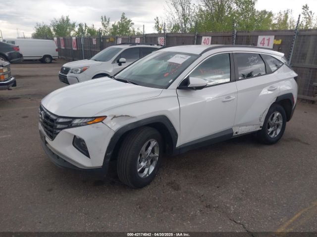 5NMJBCDE2RH362446 Hyundai TUCSON SEL