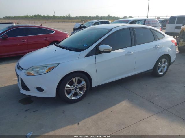 1FADP3F26EL163285 Ford FOCUS SE