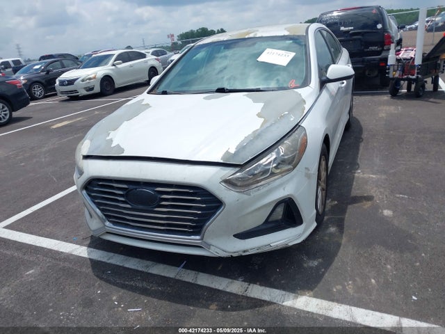 5NPE24AF6JH684566 Hyundai SONATA SE