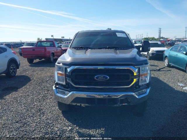 1FTFW1E86MKD57397 Ford F-150 Xlt