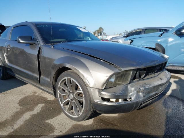 2005 FORD MUSTANG 1ZVFT80N355129272 Photo 5