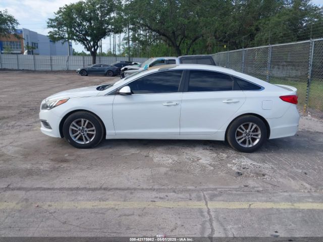 5NPE24AFXGH395280 Hyundai Sonata