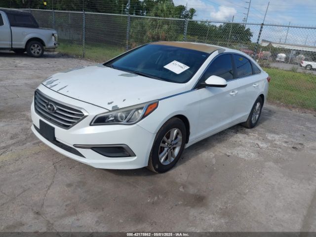 5NPE24AFXGH395280 Hyundai Sonata