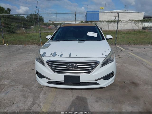 5NPE24AFXGH395280 Hyundai Sonata