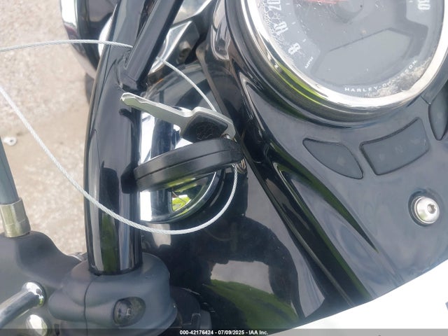 2020 HARLEY-DAVIDSON FLSL 1HD1YDJ1XLB067000 Photo 10