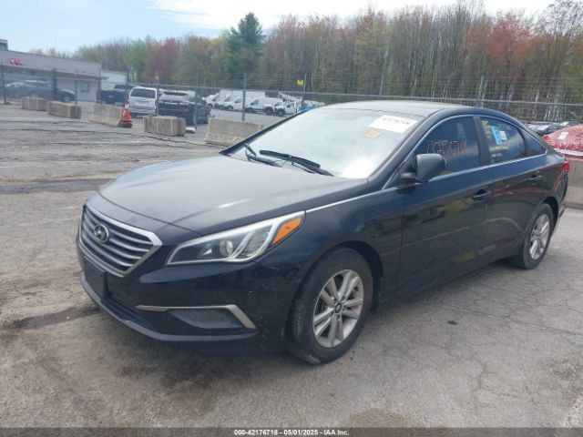 5NPE24AF1GH268594 Hyundai SONATA SE