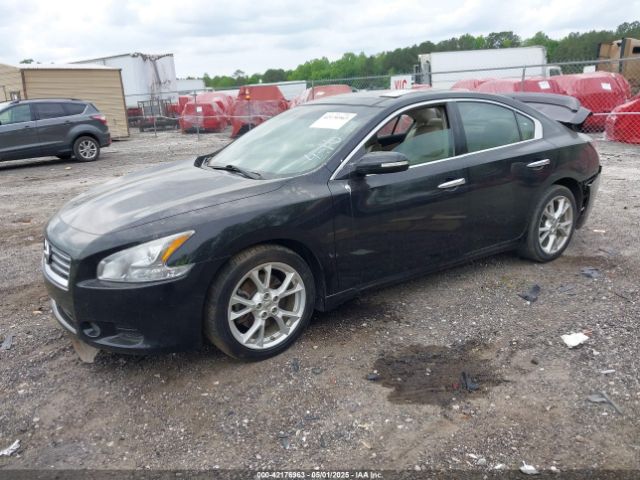 1N4AA5AP4EC450269 Nissan Maxima