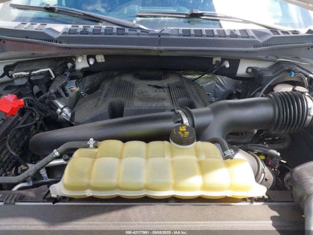 1FTEW1E42KFD51479 Ford F-150 Xlt
