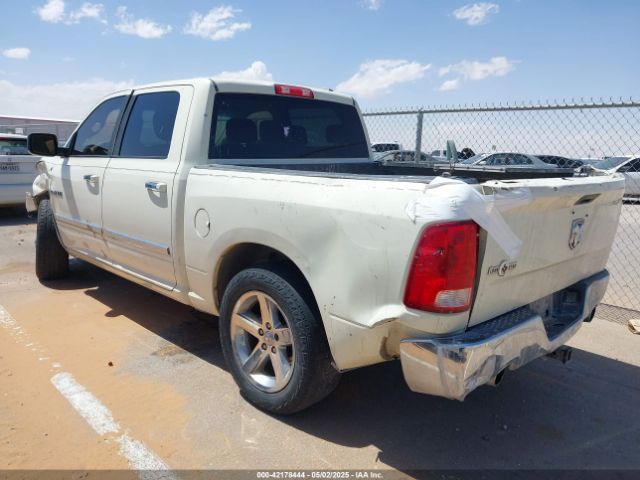 2010 DODGE RAM 1500 1D7RB1CT0AS226404 Photo 2