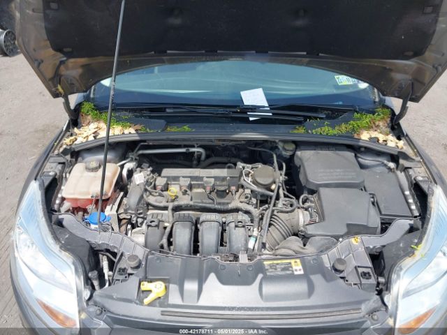 1FADP3K29EL243542 Ford FOCUS SE