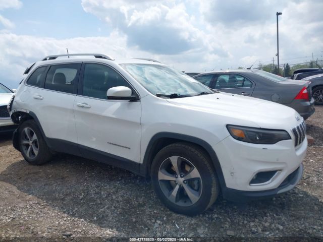 2019 JEEP CHEROKEE 1C4PJMDN9KD180308
