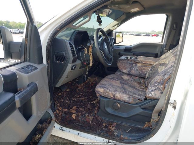 1FTEW1E44LFB16292 Ford F-150 Xlt