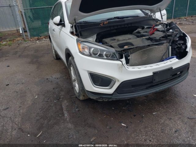 5XYPG4A37GG174923 KIA Sorento 2.4l Lx
