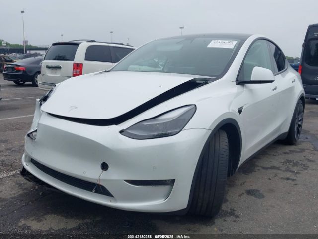 2021 TESLA MODEL Y 5YJYGDEF1MF251359 Photo 1