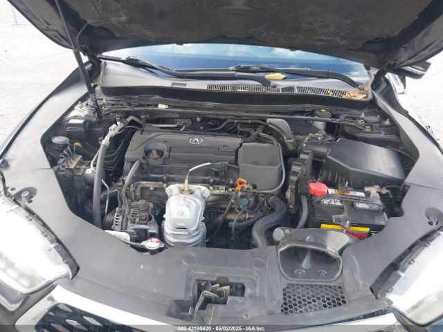 19UUB1F33KA010488 Acura Tlx Standard