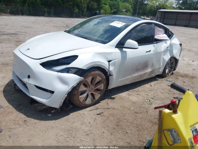 7SAYGDEEXPF662919 Tesla 2023