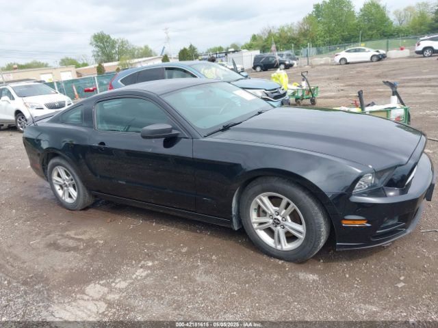 1ZVBP8AM5E5226188 Ford Mustang V6