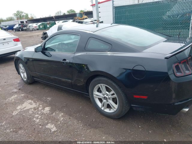 1ZVBP8AM5E5226188 Ford Mustang V6