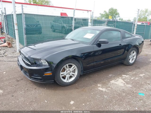 1ZVBP8AM5E5226188 Ford Mustang V6