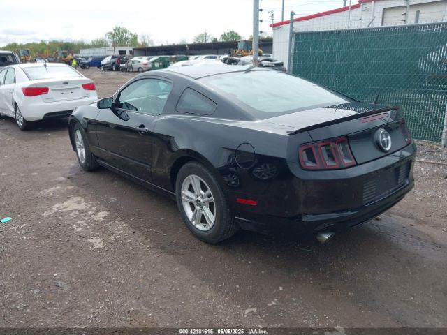 1ZVBP8AM5E5226188 Ford Mustang V6