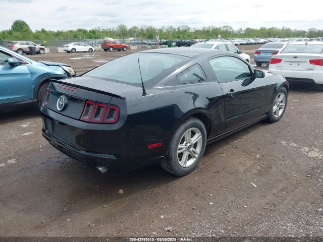 1ZVBP8AM5E5226188 Ford Mustang V6