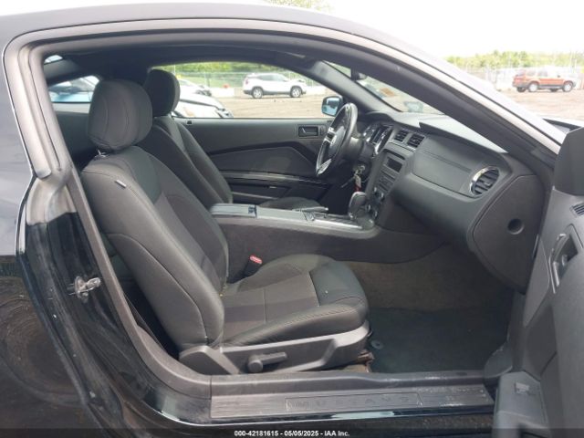 1ZVBP8AM5E5226188 Ford Mustang V6