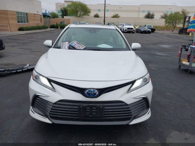 4T1F31AK2MU019988 Toyota Camry Xle Hybrid