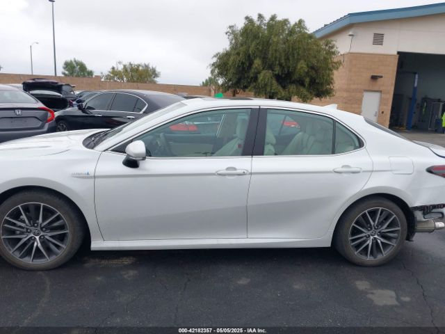 4T1F31AK2MU019988 Toyota Camry Xle Hybrid