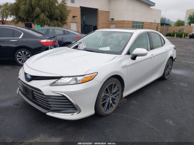 4T1F31AK2MU019988 Toyota Camry Xle Hybrid