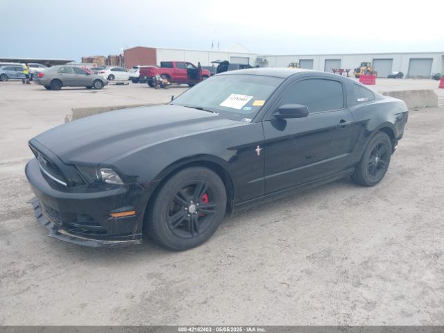 1ZVBP8AM0E5290624 Ford Mustang V6