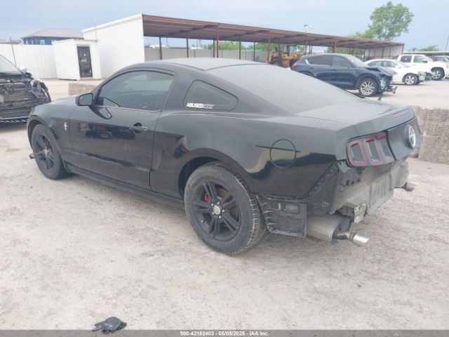 1ZVBP8AM0E5290624 Ford Mustang V6