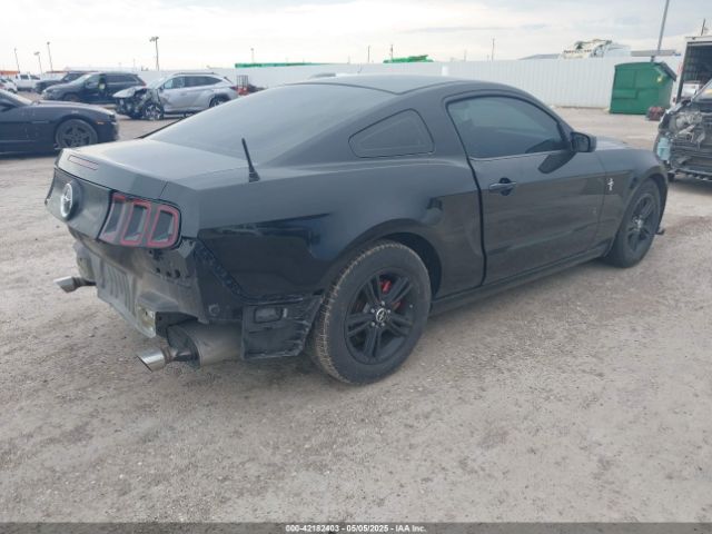 1ZVBP8AM0E5290624 Ford Mustang V6