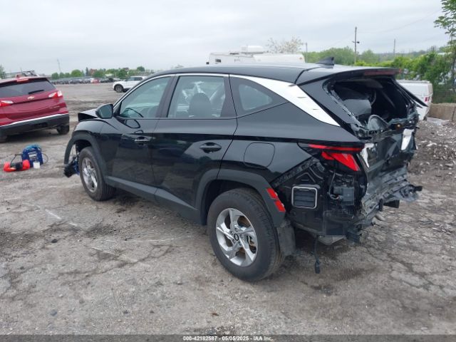 2024 HYUNDAI TUCSON 5NMJACDE0RH312647 Photo 2