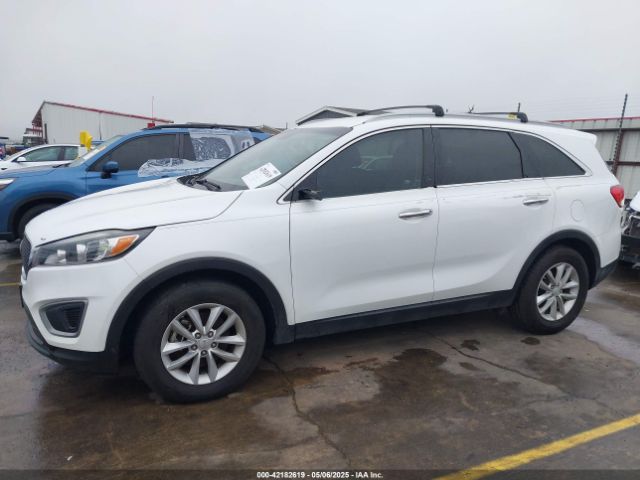 5XYPG4A51GG011668 KIA Sorento 3.3l Lx