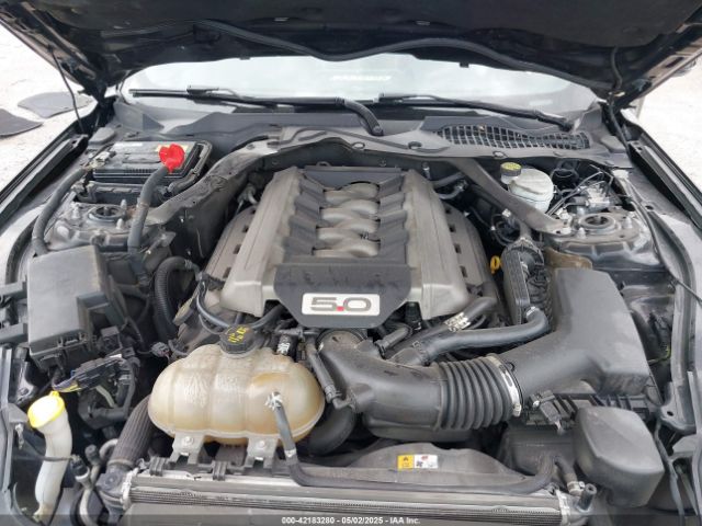 1FA6P8CF3G5259637 Ford Mustang Gt Premium