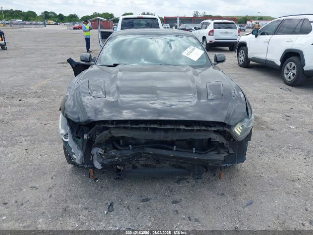 1FA6P8CF3G5259637 Ford Mustang Gt Premium