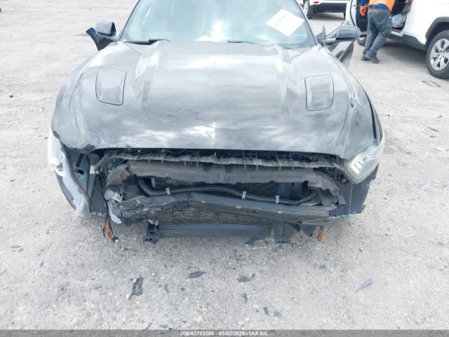 1FA6P8CF3G5259637 Ford Mustang Gt Premium