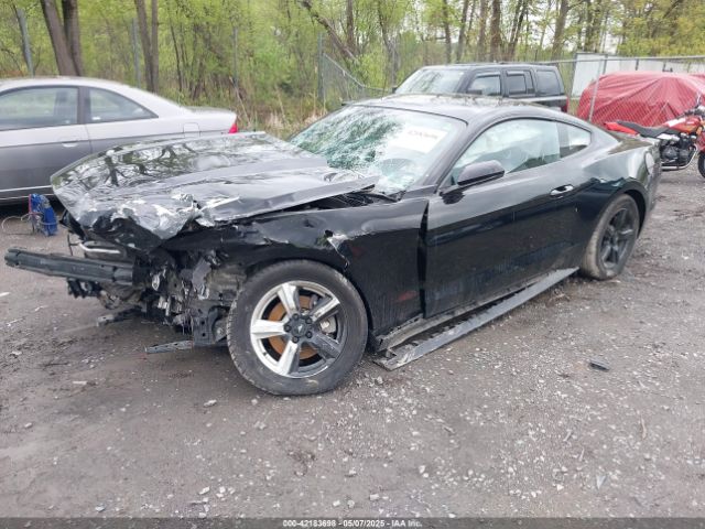1FA6P8AM3H5322125 Ford Mustang V6