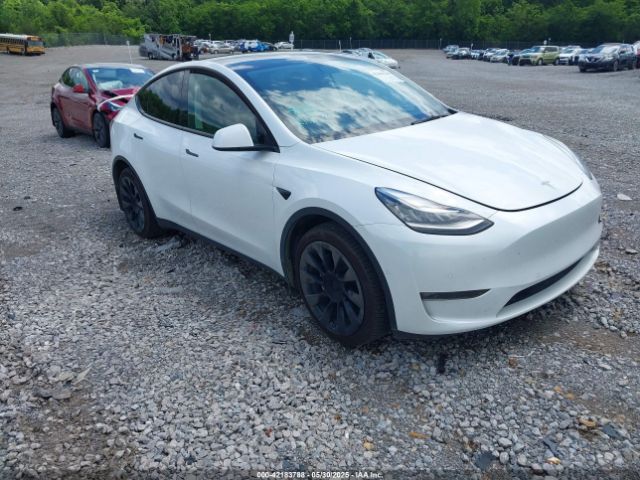 2021 TESLA MODEL Y 5YJYGDEE0MF233524