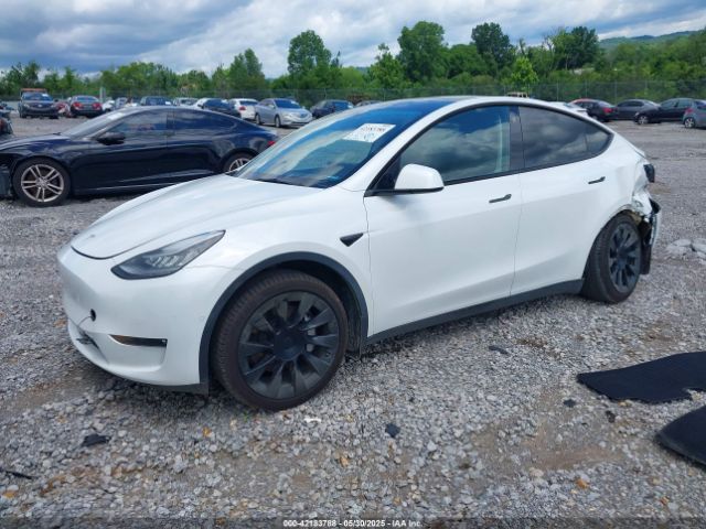 2021 TESLA MODEL Y 5YJYGDEE0MF233524 Photo 1