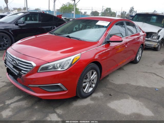 5NPE24AF3HH451965 Hyundai SONATA SE