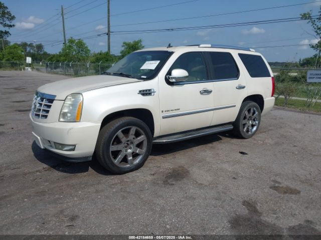 2009 CADILLAC ESCALADE 1GYFK23249R284846 Photo 1