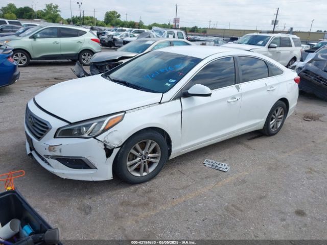 5NPE24AF5HH441213 Hyundai Sonata