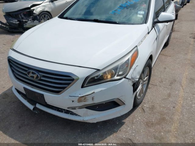 5NPE24AF5HH441213 Hyundai Sonata