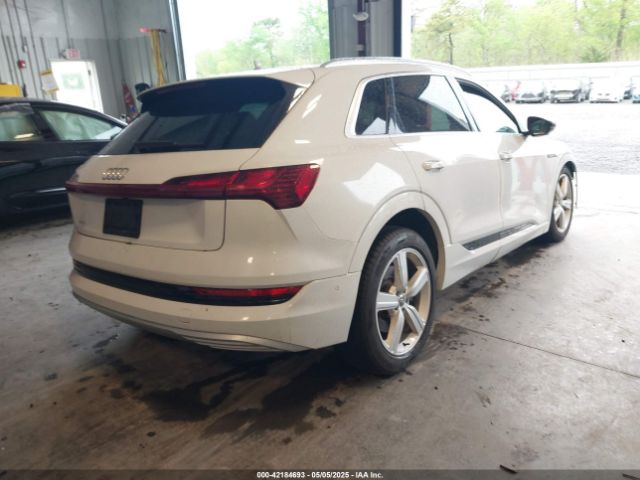 2019 AUDI E-TRON WA1LAAGE4KB023803 Photo 3