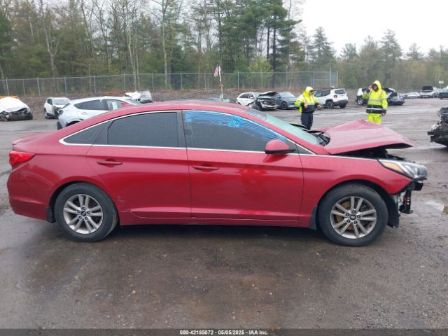 5NPE24AF9GH293212 Hyundai SONATA SE